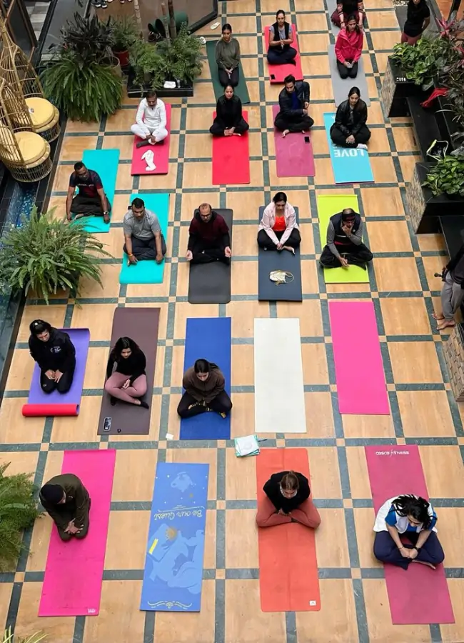 Untitled design (40)