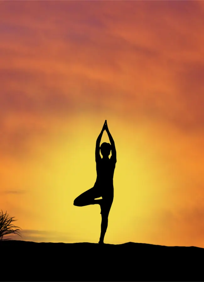 Untitled design (41) (1)